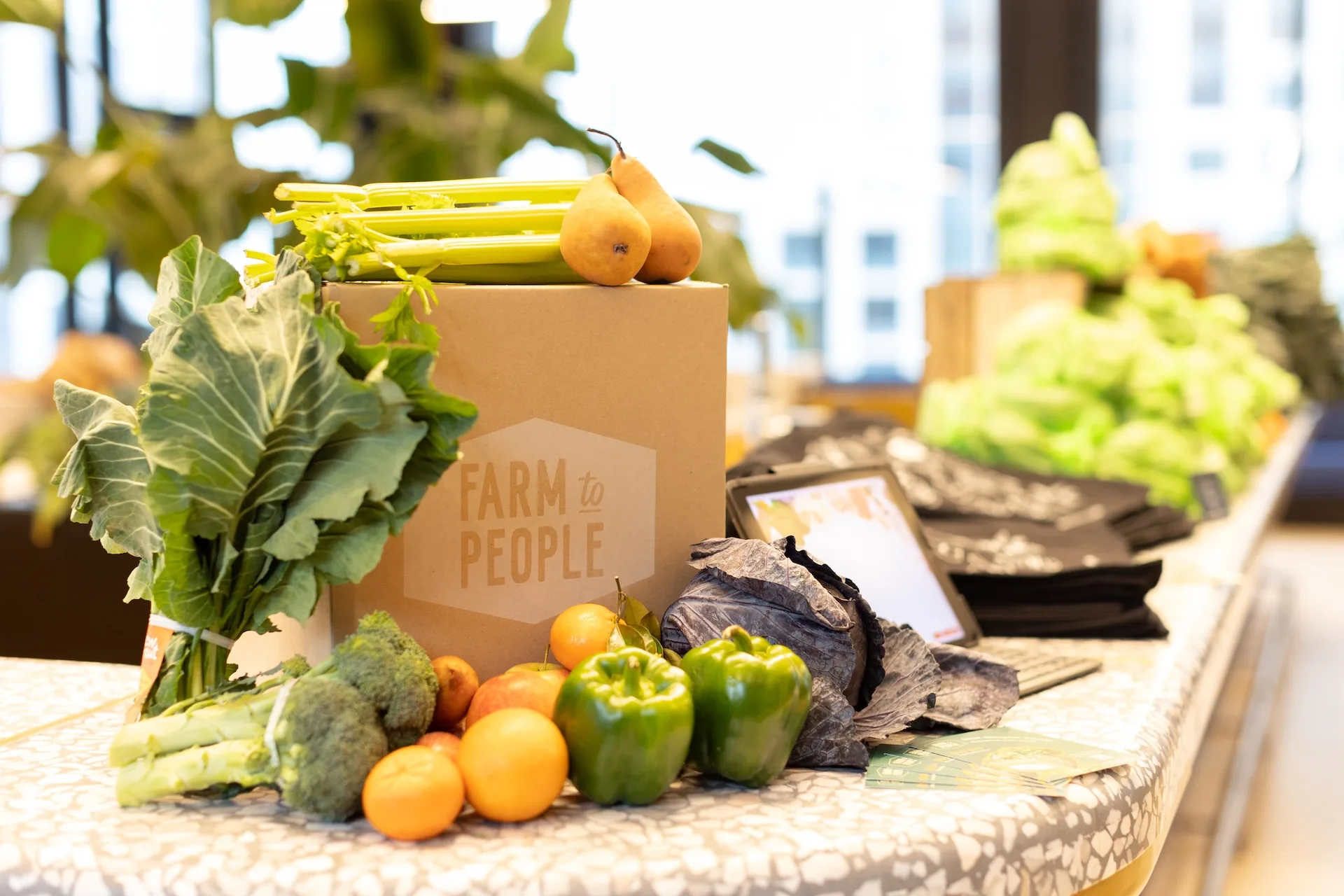 Outdoor yoga session
